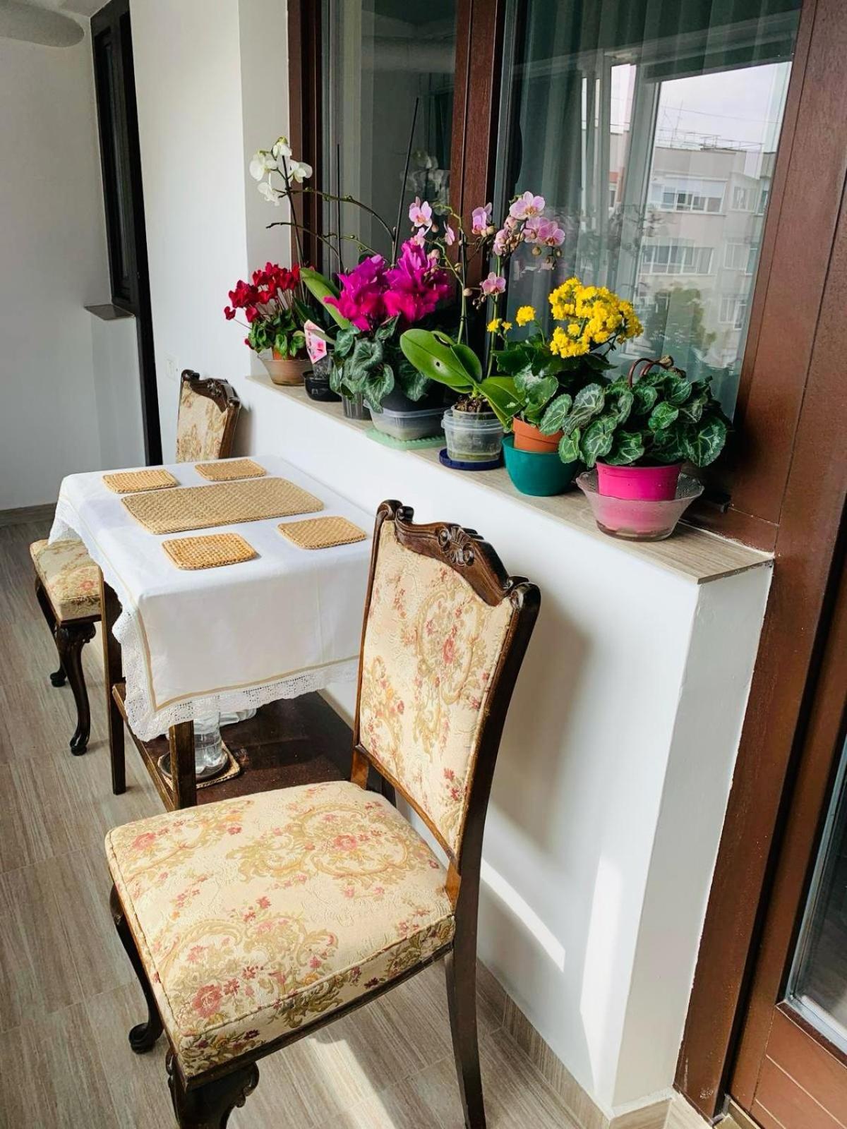 Sofiart Apartment 부쿠레슈티 외부 사진